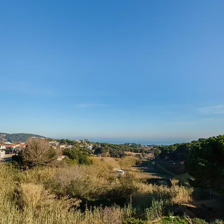 Sol